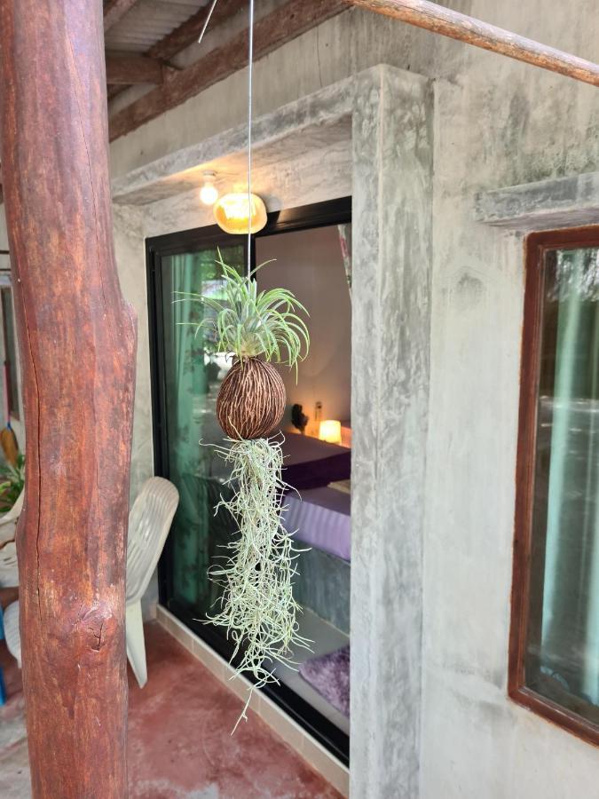 Phangan Villa Bungalows Тонгсала Екстериор снимка